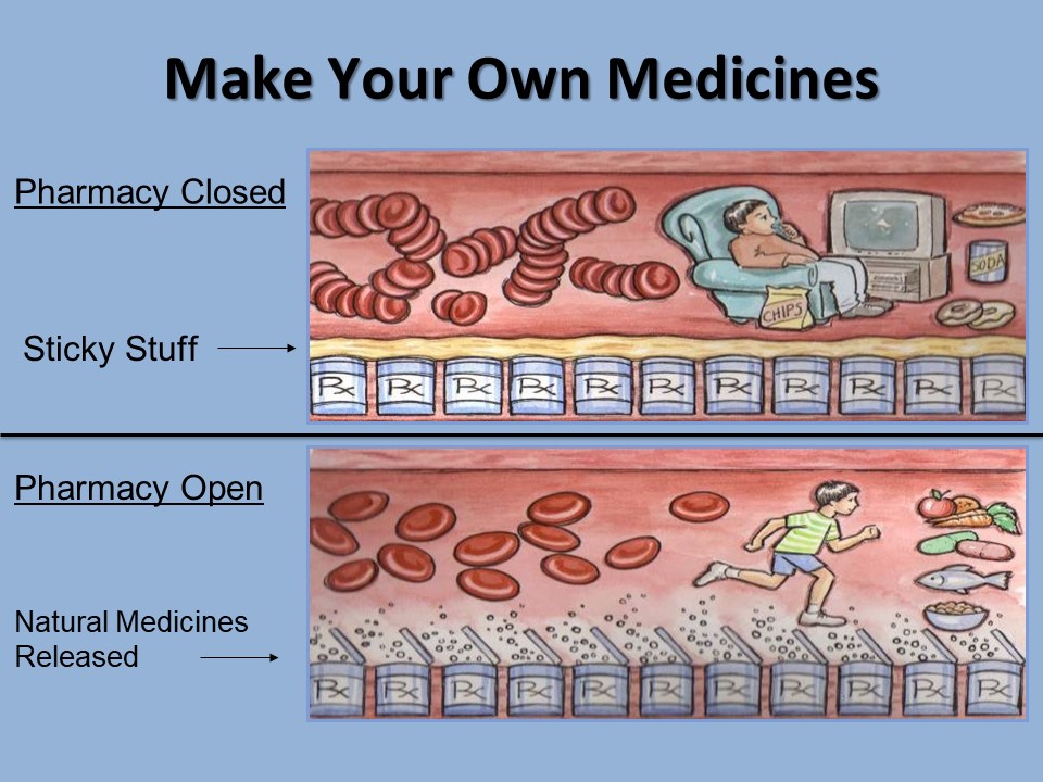 Make Your Own Medicines (pdf)